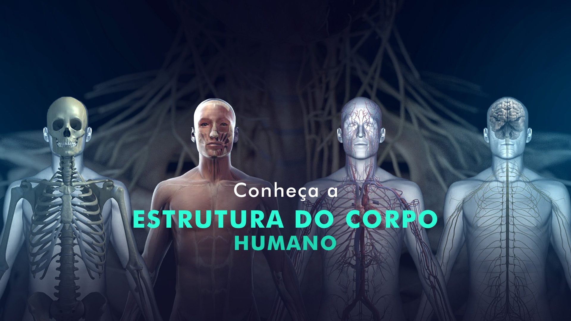 Conhecendo a Estrutura do Corpo Humano - Escola de Lucifer