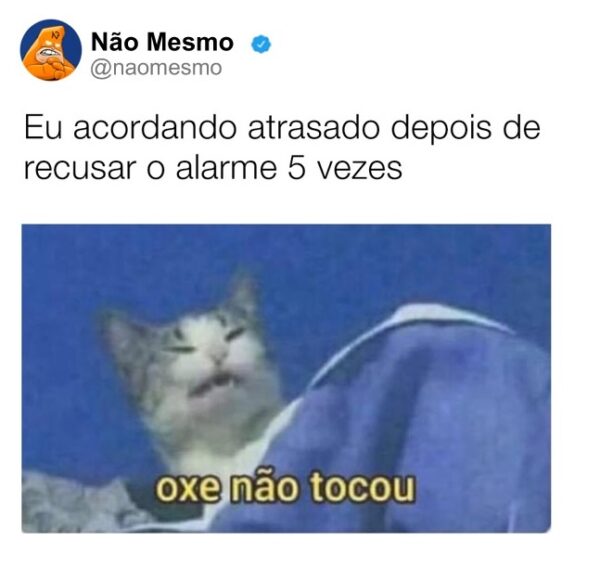 421517398_1436699173946136_4119553399209978090_n