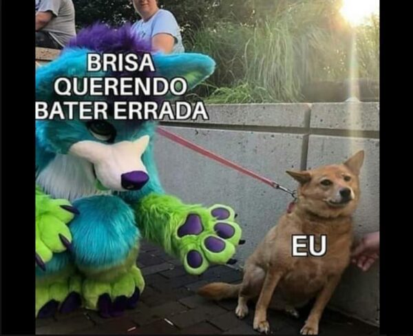 meme-brisa