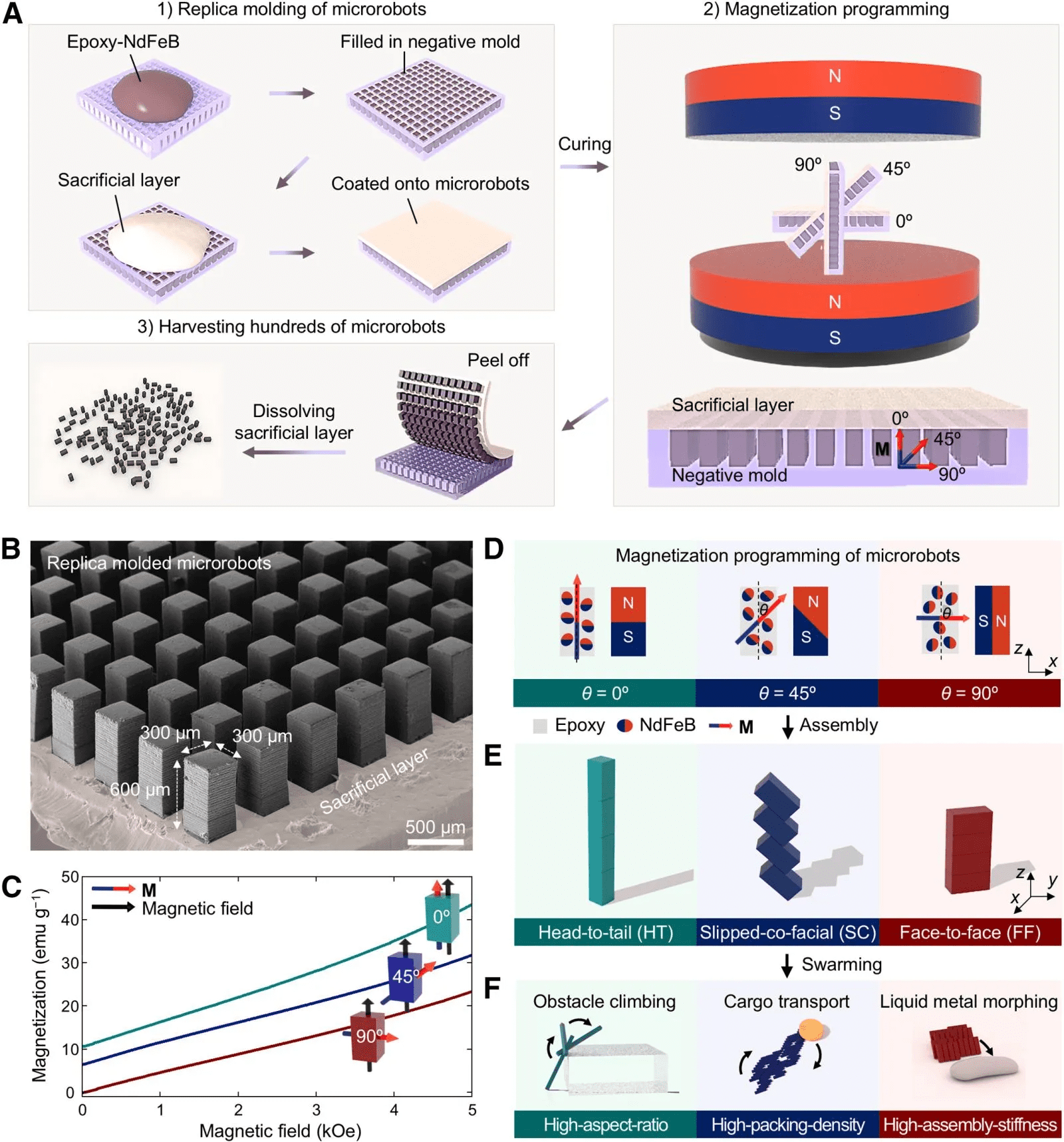 Produção em série de microrrobôs magneticamente anisotrópicos para uma inteligência em enxame multifuncional