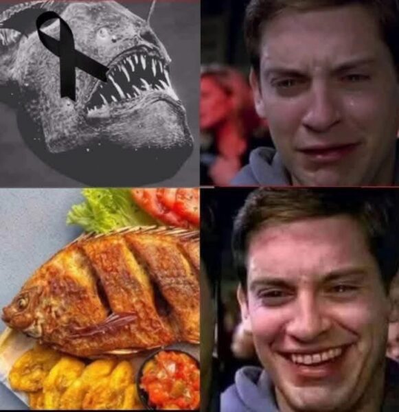 476777666_1709589829599707_7169178435466808442_n