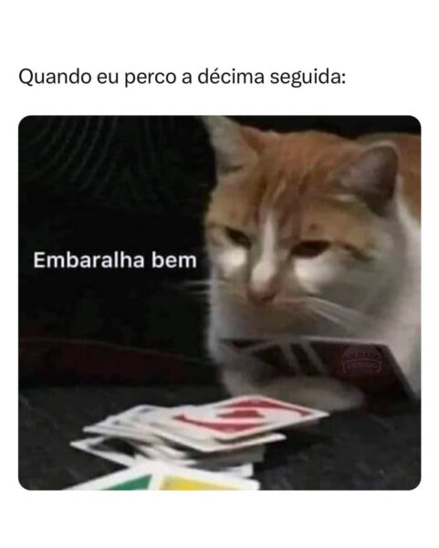 480483293_1040089098156721_8070857475681867234_n