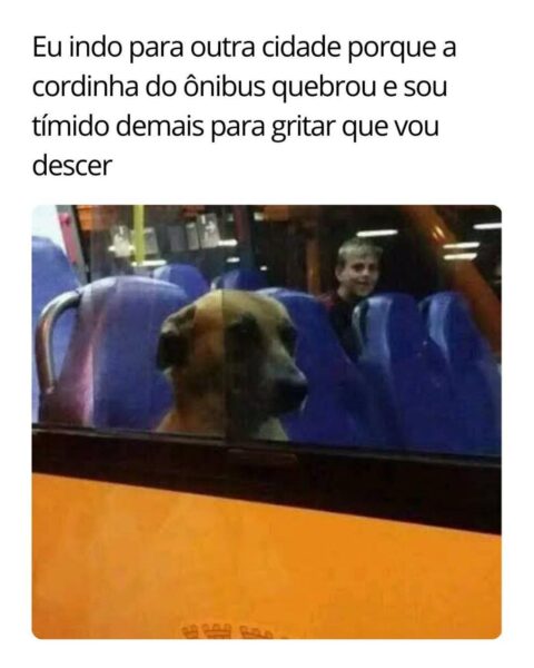 photo_2025-02-11_13-57-11