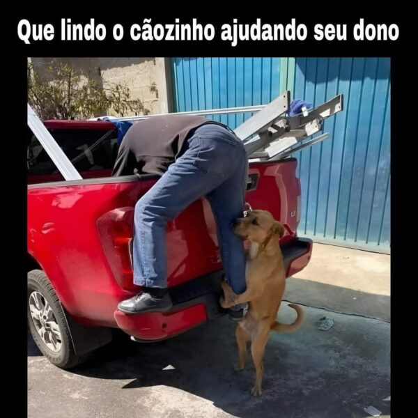 photo_2025-02-11_13-57-22-2