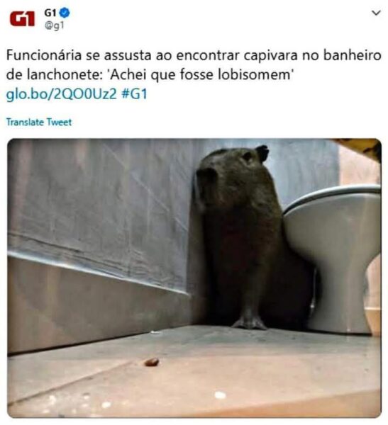 photo_2025-02-19_23-36-29