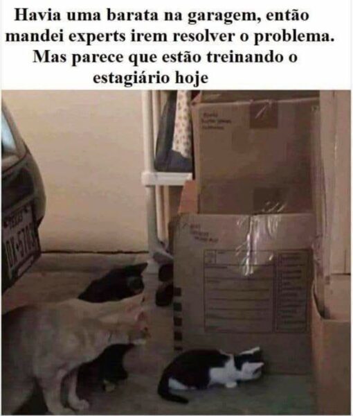 481668861_1216000243415051_408320154087011675_n