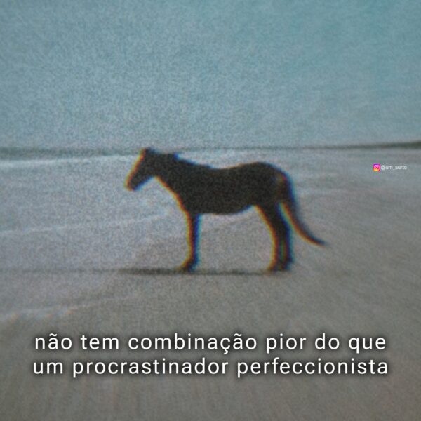 488922525_1214315667361030_654671219177022011_n