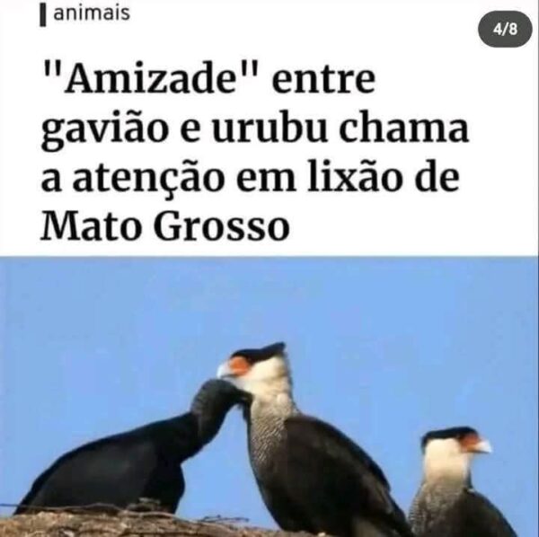 photo_2025-05-15_17-45-50-3