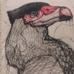 Foto de perfil de Carcará